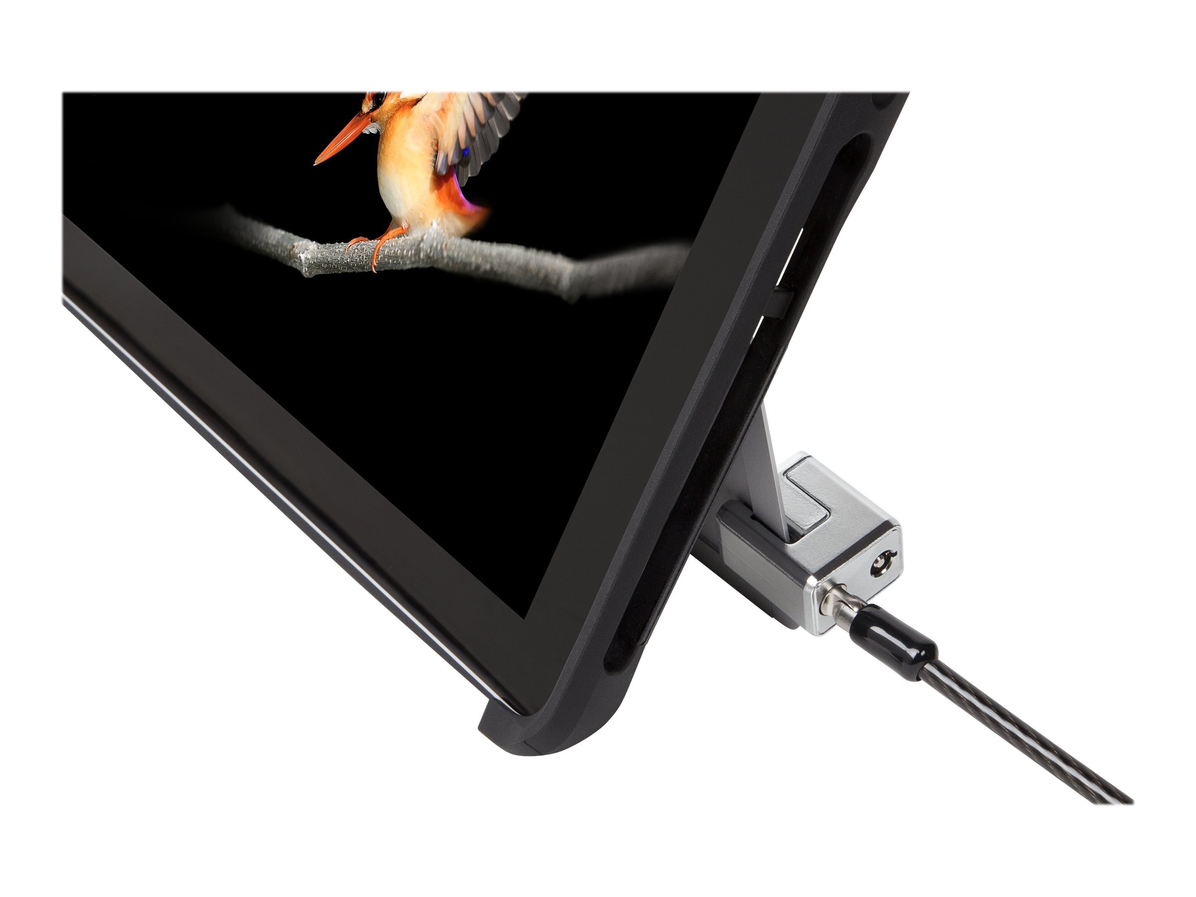 CCS Product Image (Close-up/2400 x 1800)