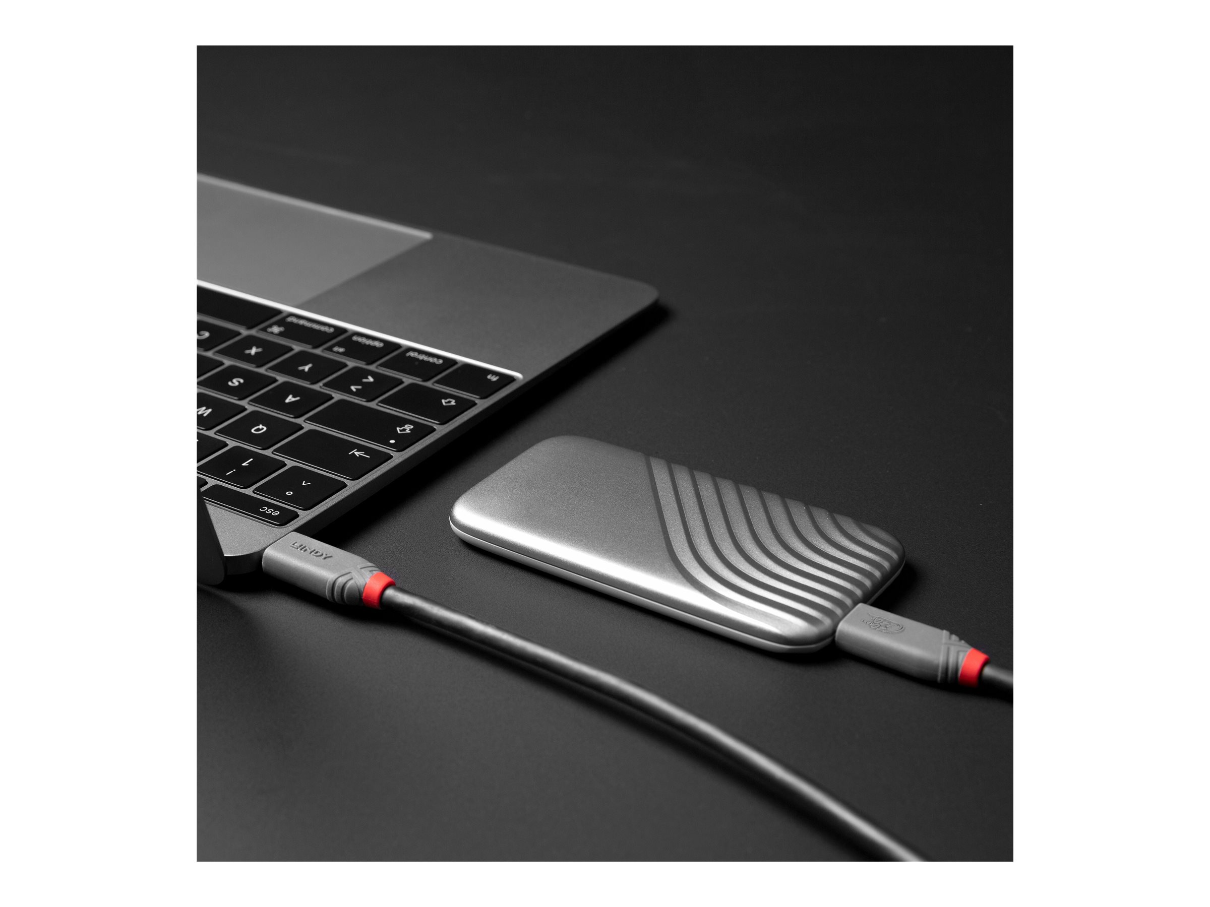 CCS Product Image (Close-up/2400 x 1800)