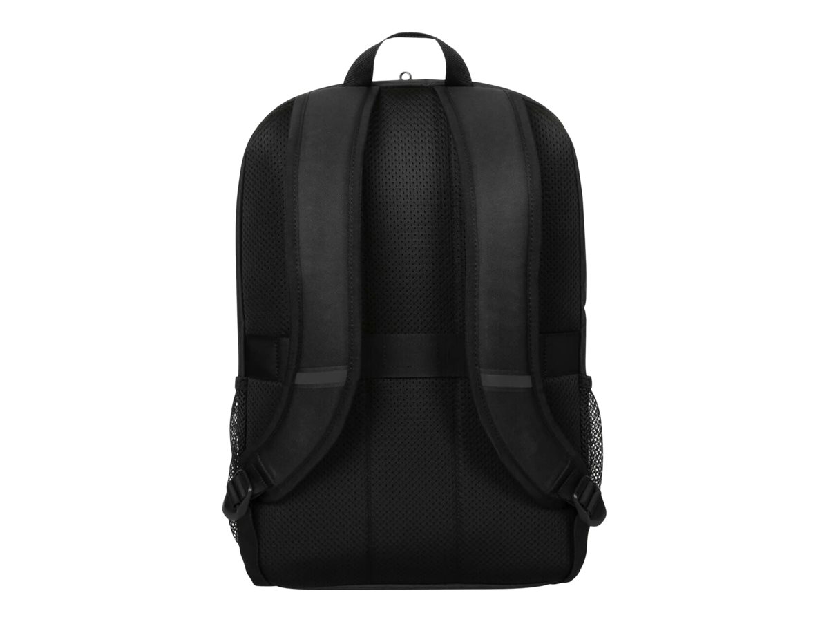 CCS Product Image (Back/1200 x 900)