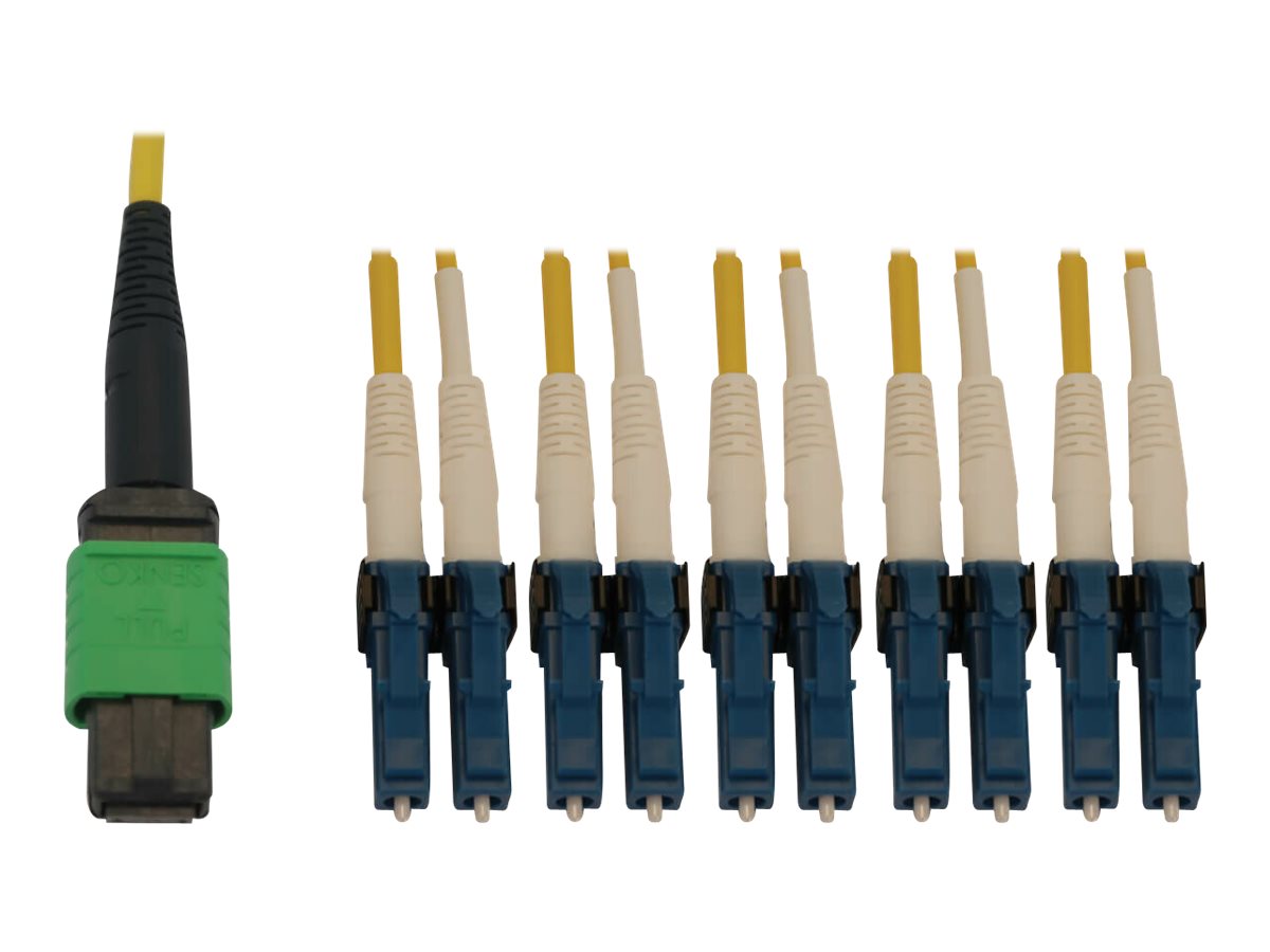 CCS Product Image (Close-up/1200 x 900)