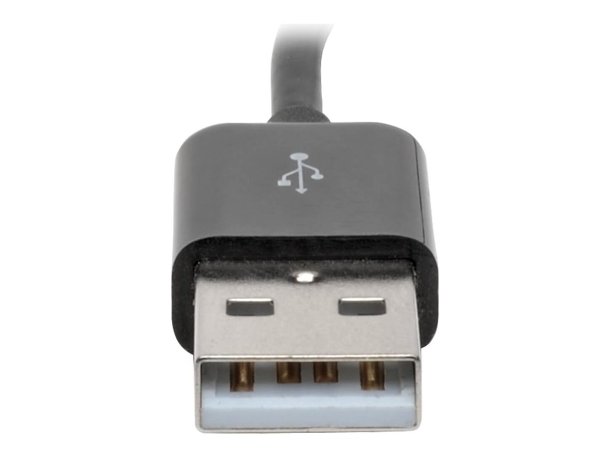 CCS Product Image (Close-up/1200 x 900)