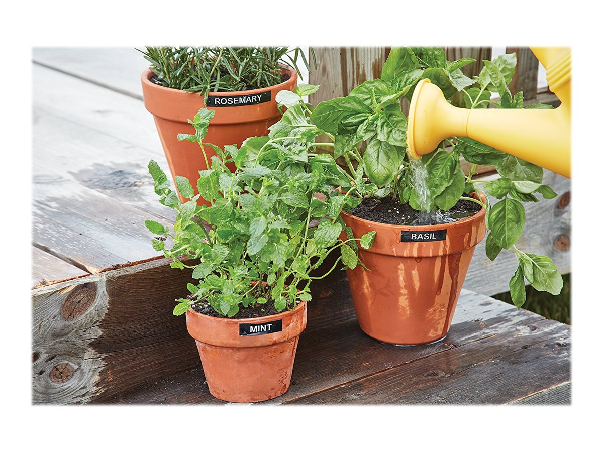 CCS Product Image (Front/1200 x 900) CCS Product Image (Front/1200 x 900)