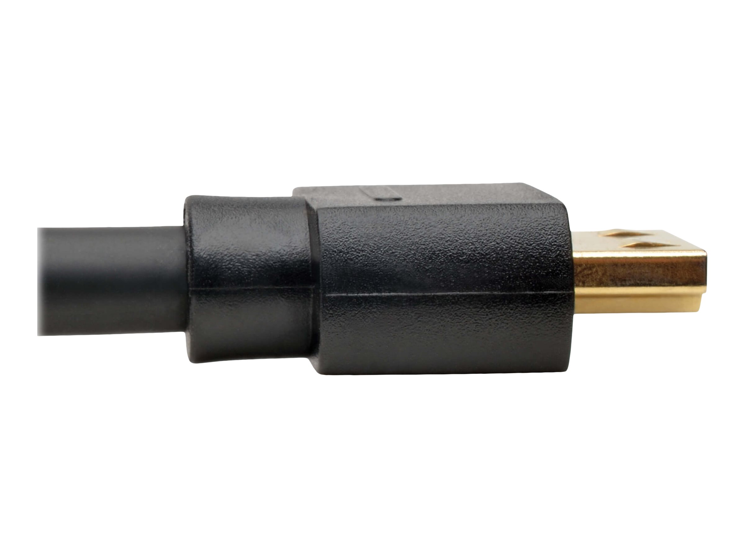 CCS Product Image (Left side/2400 x 1800)