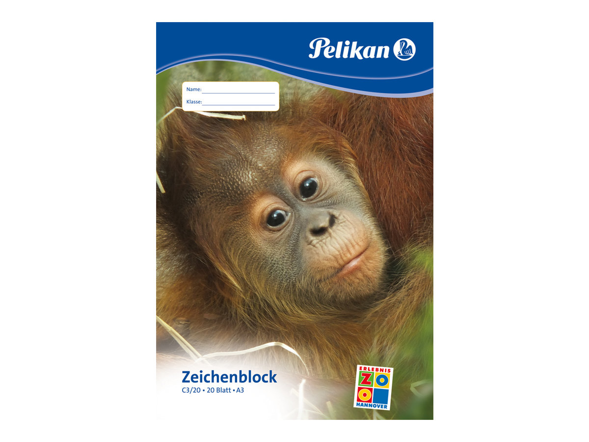 CCS Product Image (Front/1200 x 900)