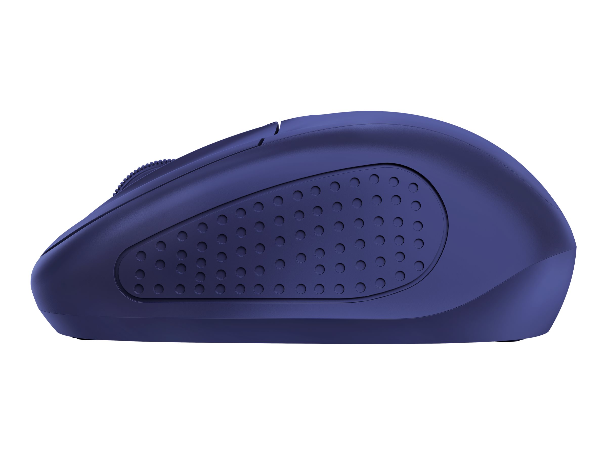 CCS Product Image (Right side/2400 x 1800)