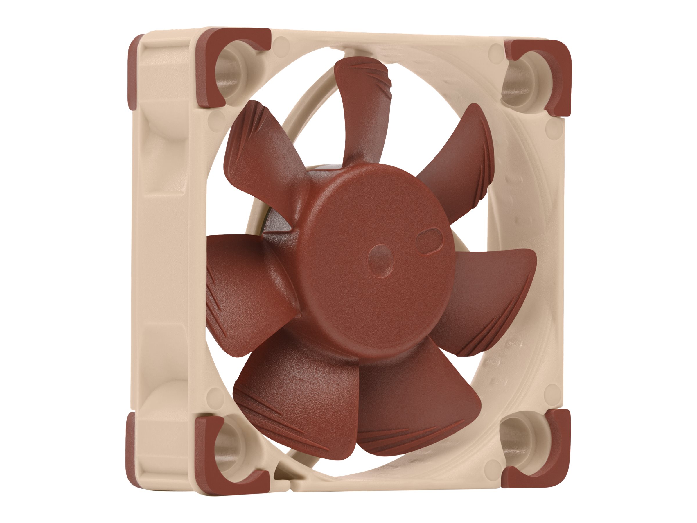 CCS Product Image (Multi-angle/2400 x 1800)