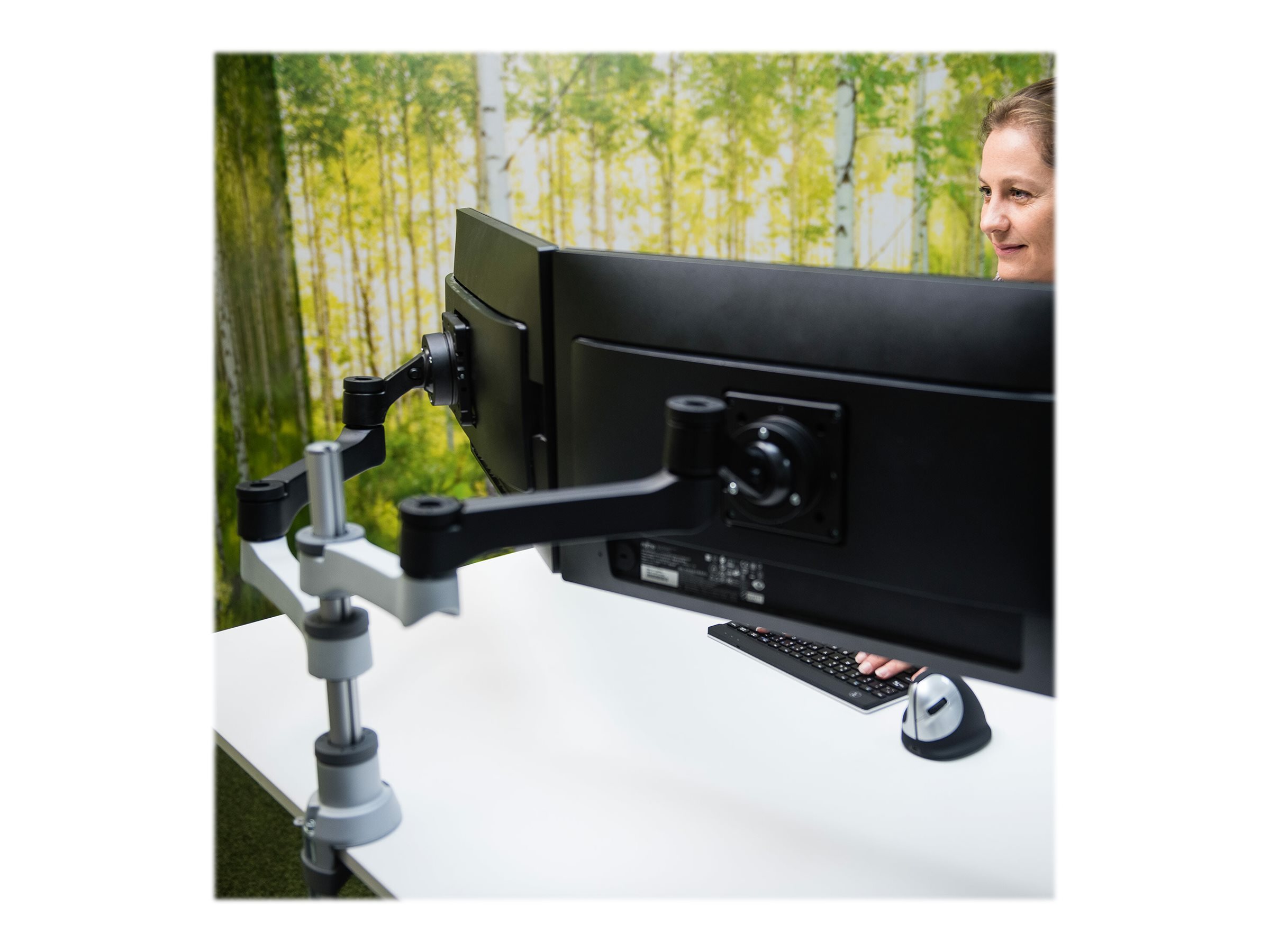 CCS Product Image (Back/2400 x 1800) CCS Product Image (Back/2400 x 1800)