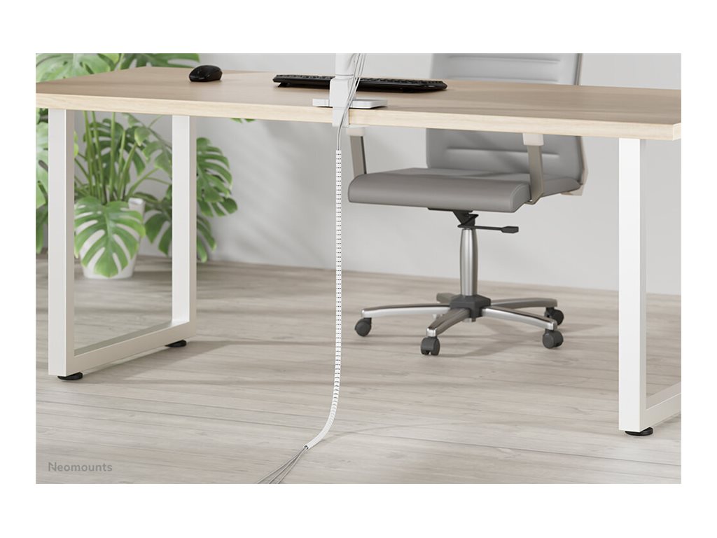 CCS Product Image (Right-angle/1024 x 768)