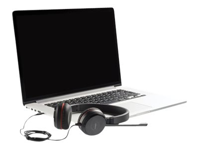 CCS Product Image (Back/400 x 300)