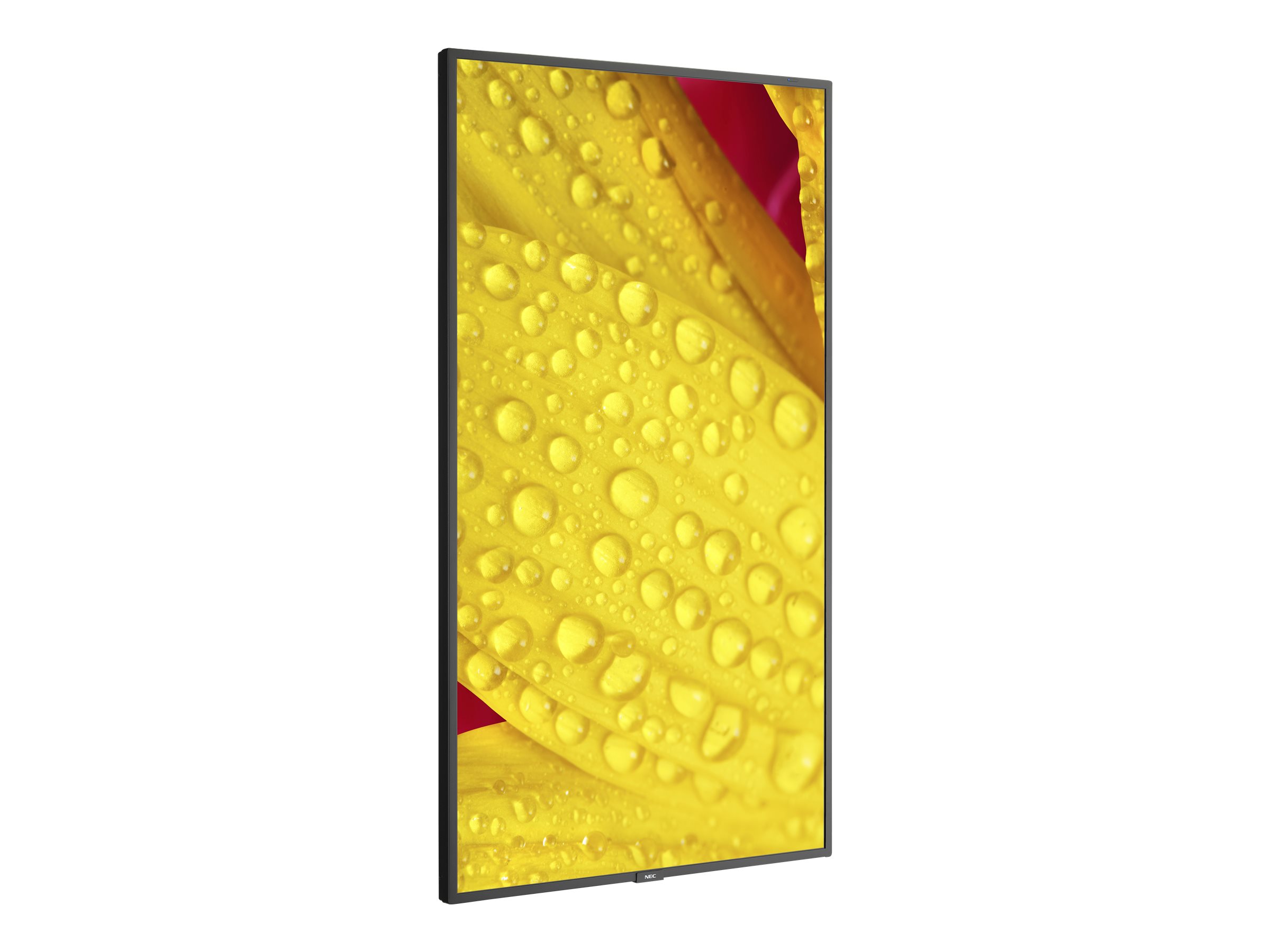 CCS Product Image (Left-angle/2400 x 1800)