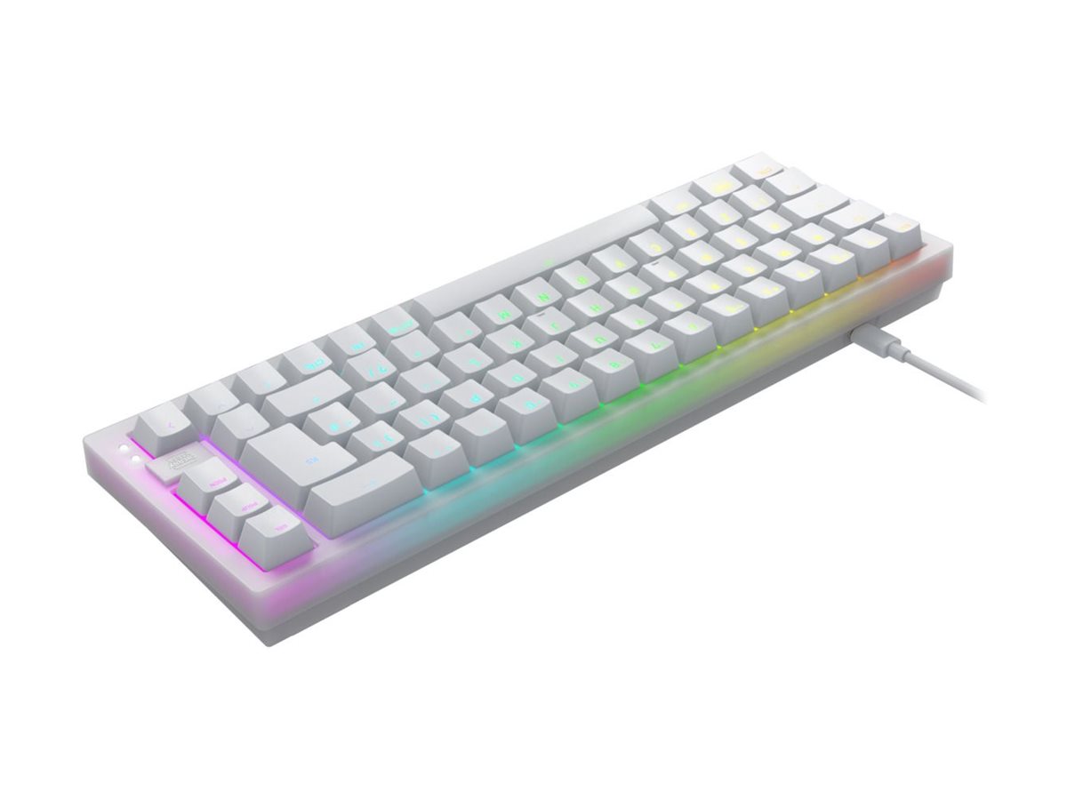 CCS Product Image (Back/1200 x 900)