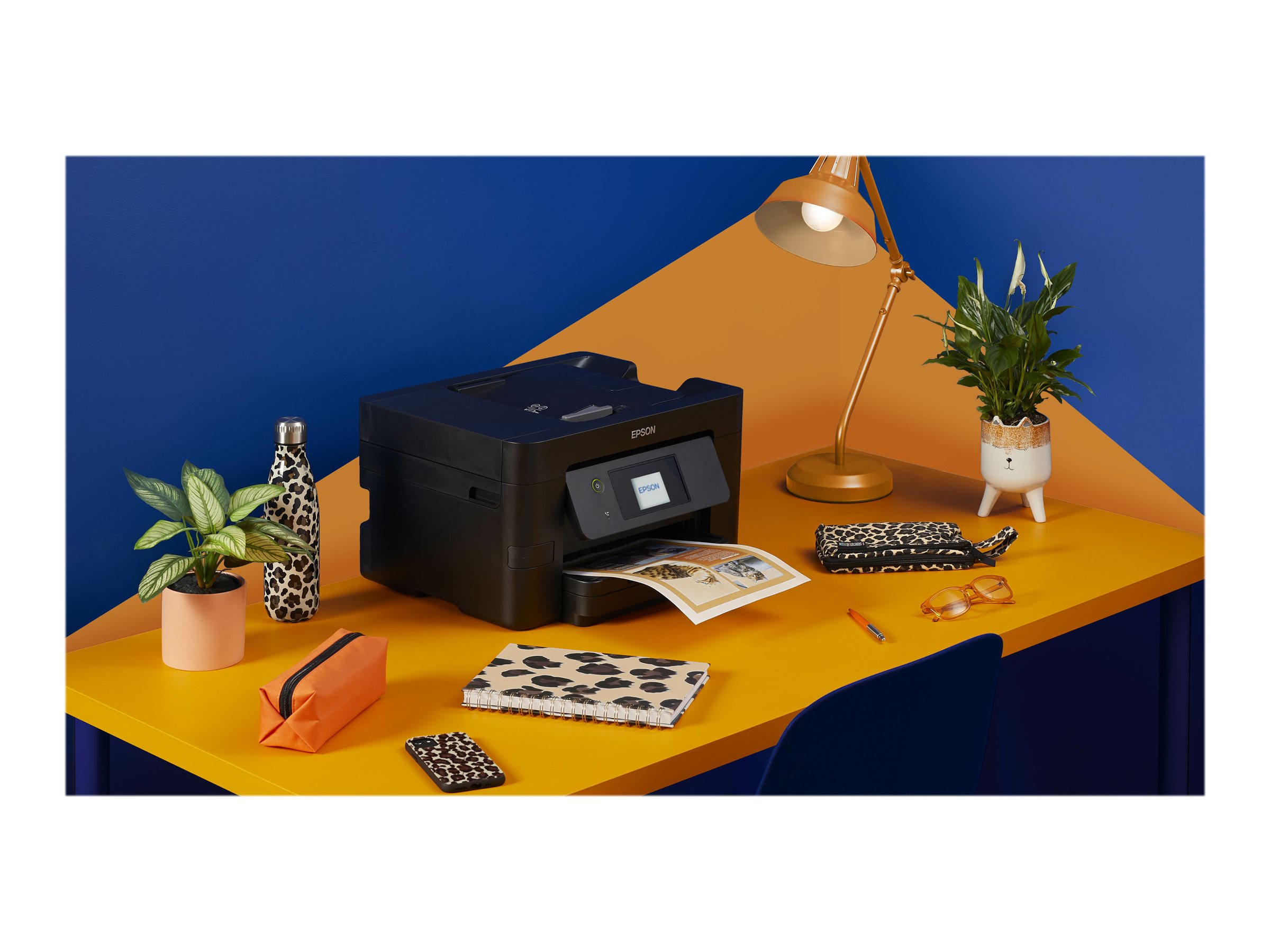 CCS Product Image (Left-angle/2400 x 1800)