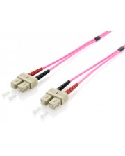 ITS - https://shopmanager.future-x.de/images/products/0/its-3742038000.jpg