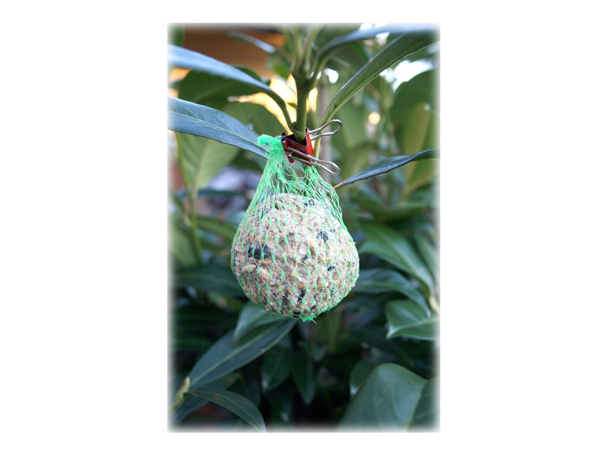 CCS Product Image (Right side/1200 x 900)