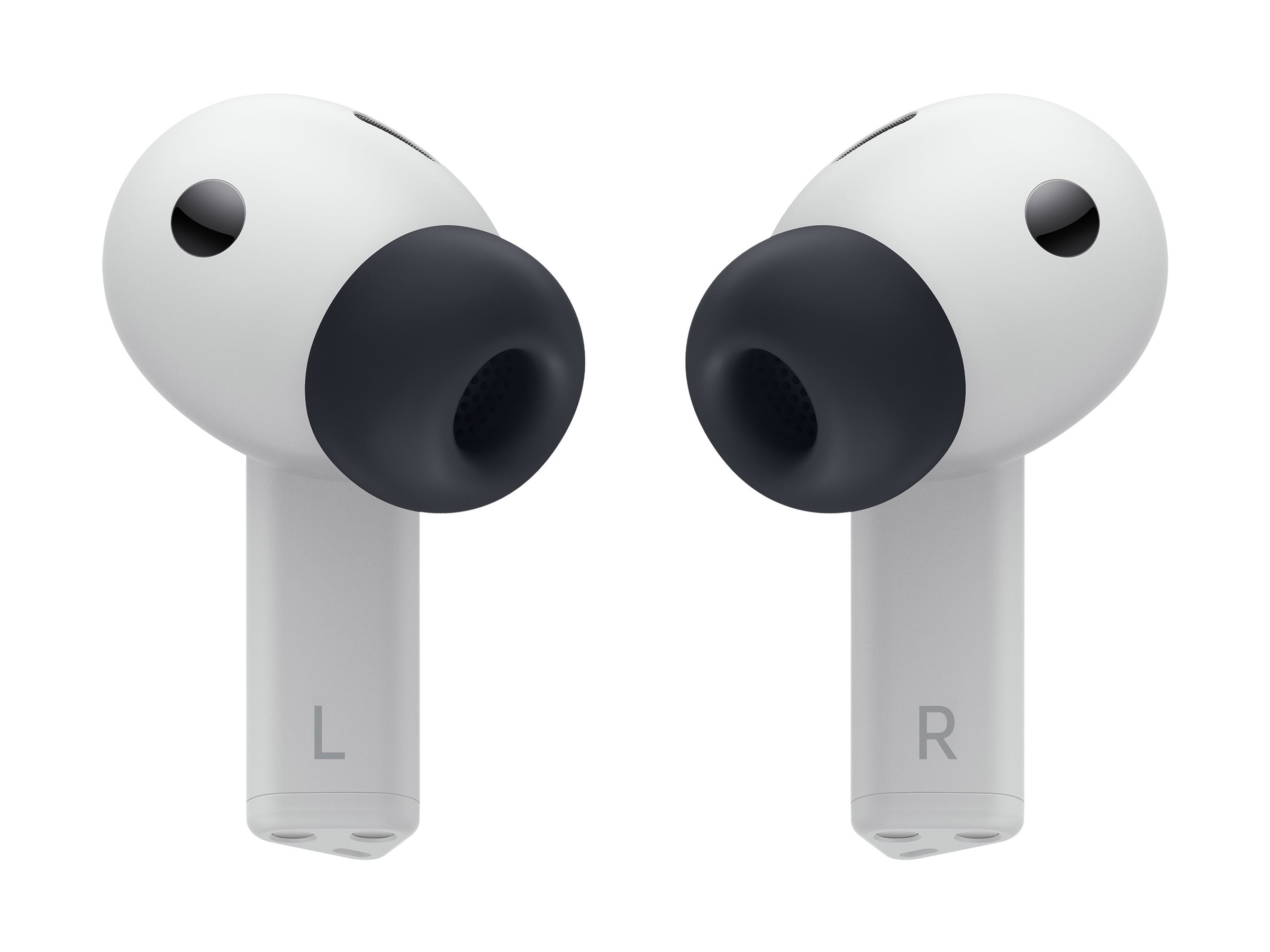 CCS Product Image (Back/2400 x 1800)