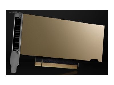 CCS Product Image (Left-angle/400 x 300)