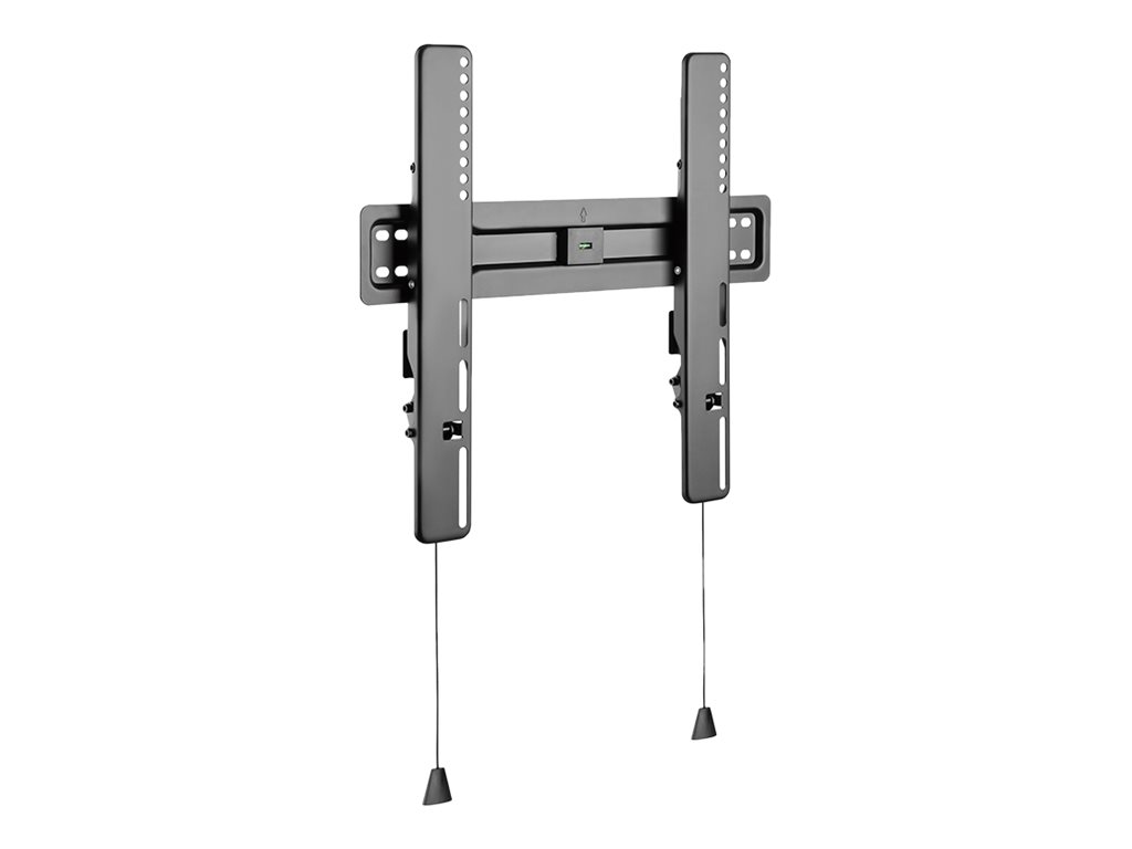 CCS Product Image (Left-angle/1024 x 768)