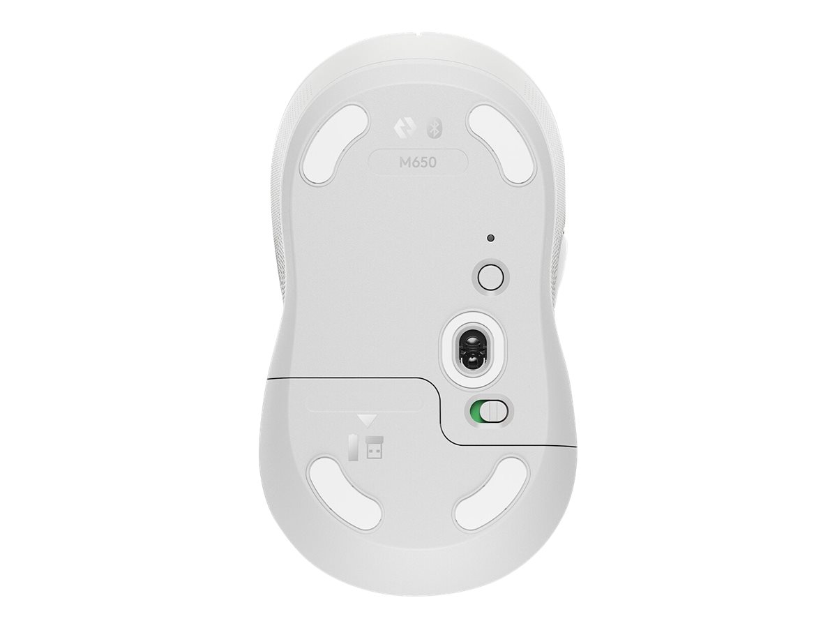 CCS Product Image (Bottom/1200 x 900)