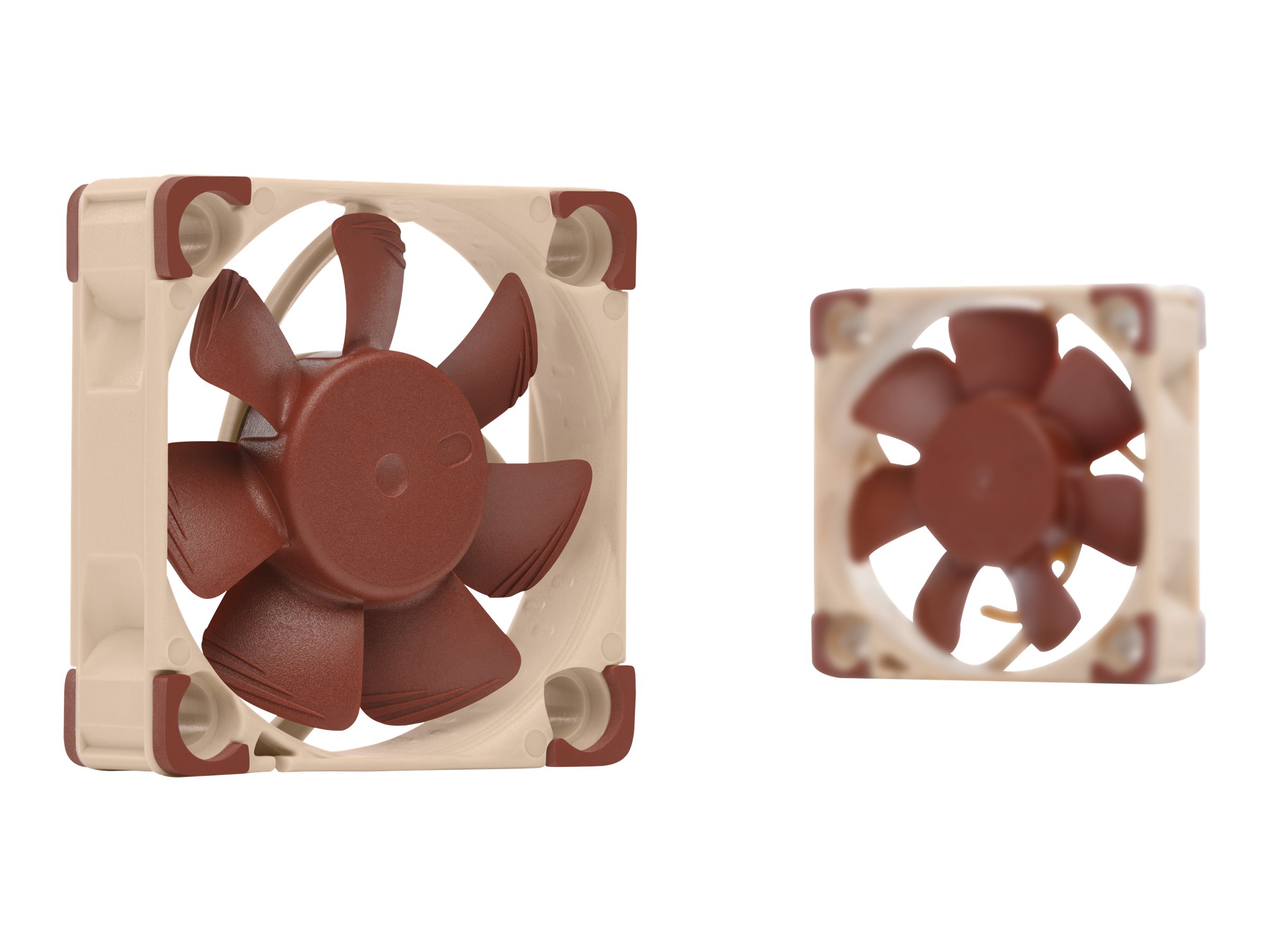 CCS Product Image (Multi-angle/2400 x 1800)