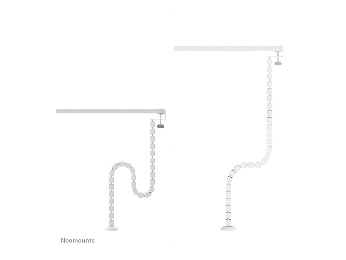 CCS Product Image (Right side/1200 x 900)