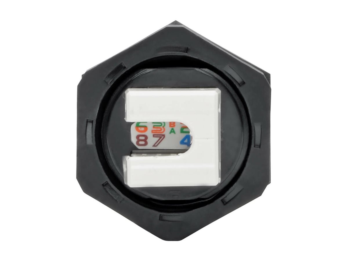 CCS Product Image (Back/1200 x 900)