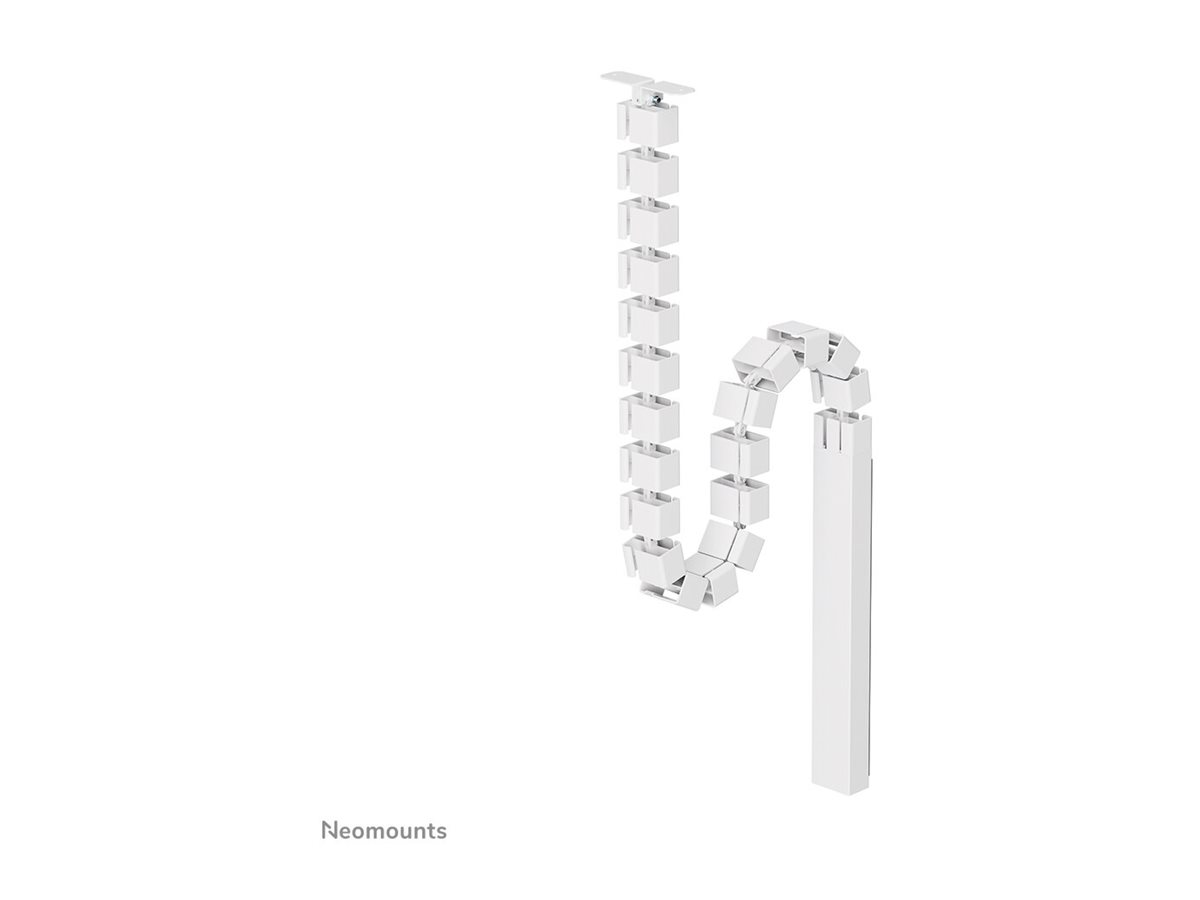 CCS Product Image (Back/1200 x 900)