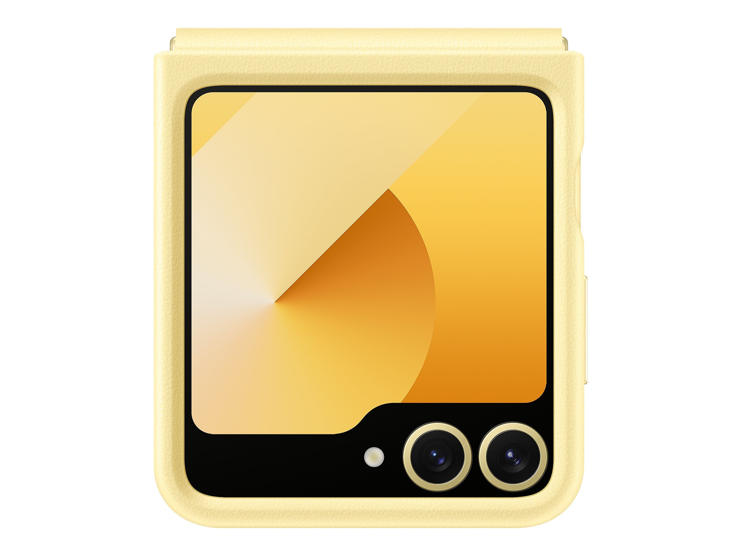 CCS Product Image (Back/2400 x 1800)