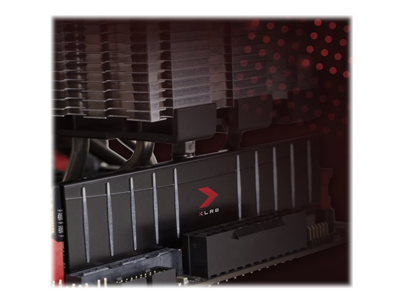 CCS Product Image (Left-angle/800 x 600)