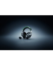 ITS - https://shopmanager.future-x.de/images/products/6/its-21187316.jpg