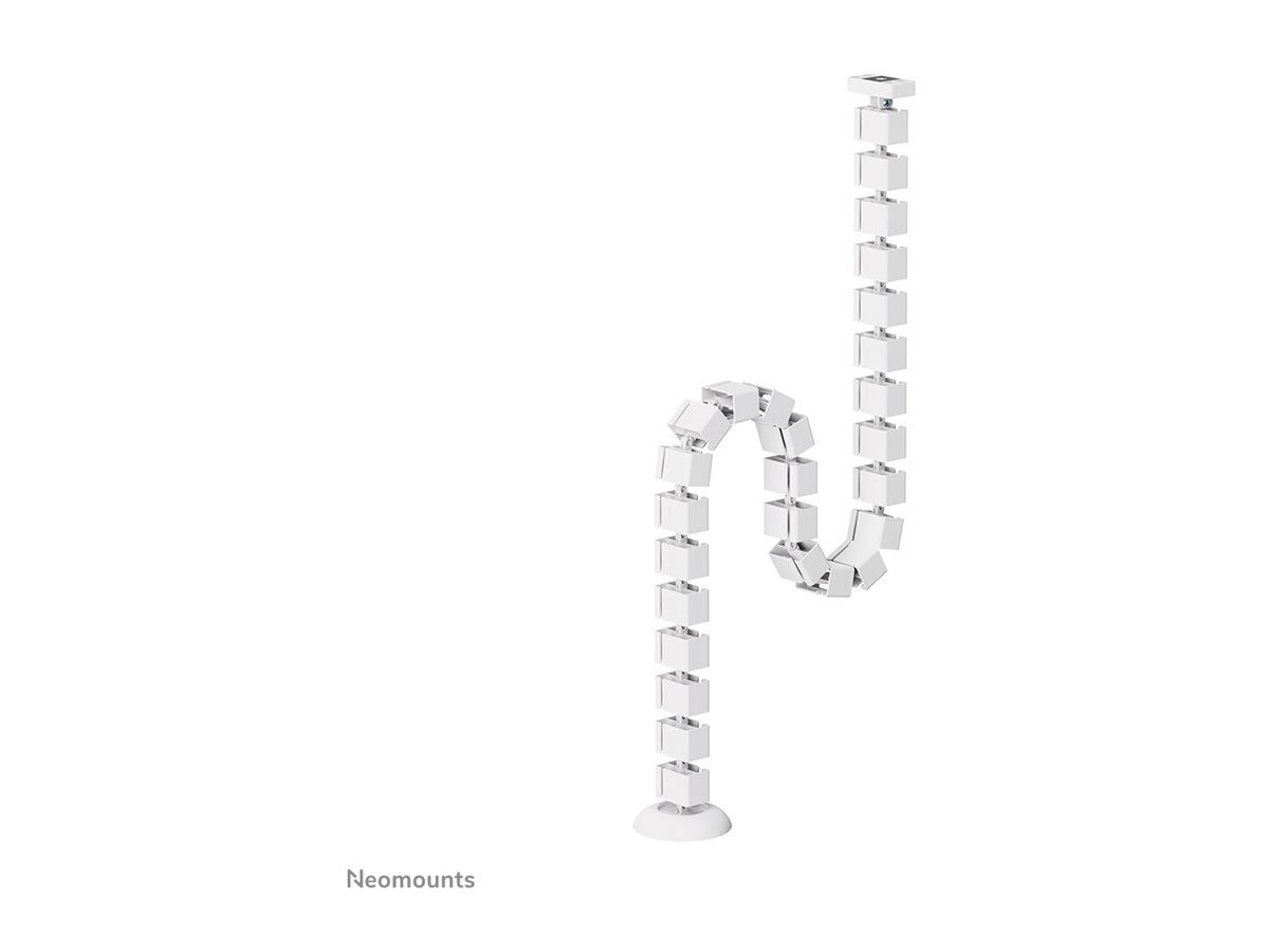 CCS Product Image (Back/1200 x 900)