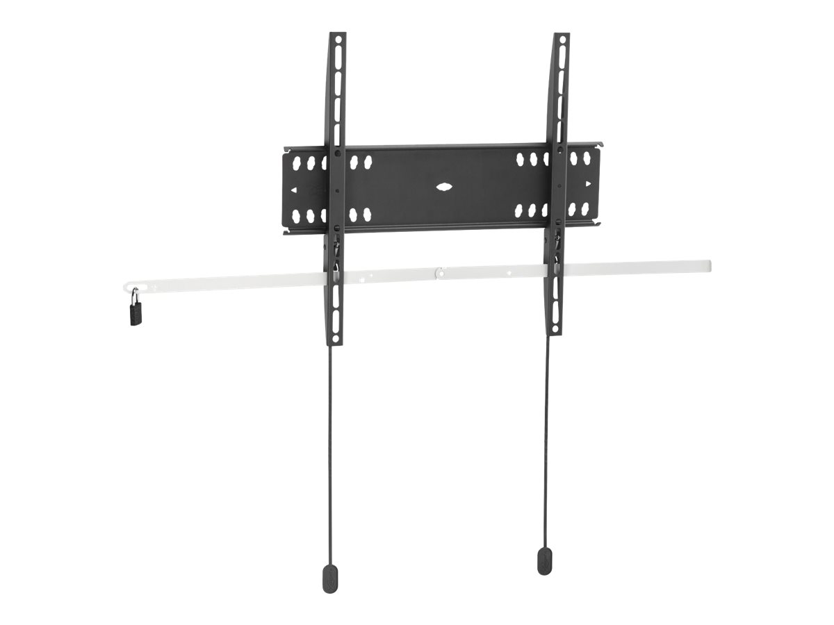 CCS Product Image (Left-angle/1200 x 900)