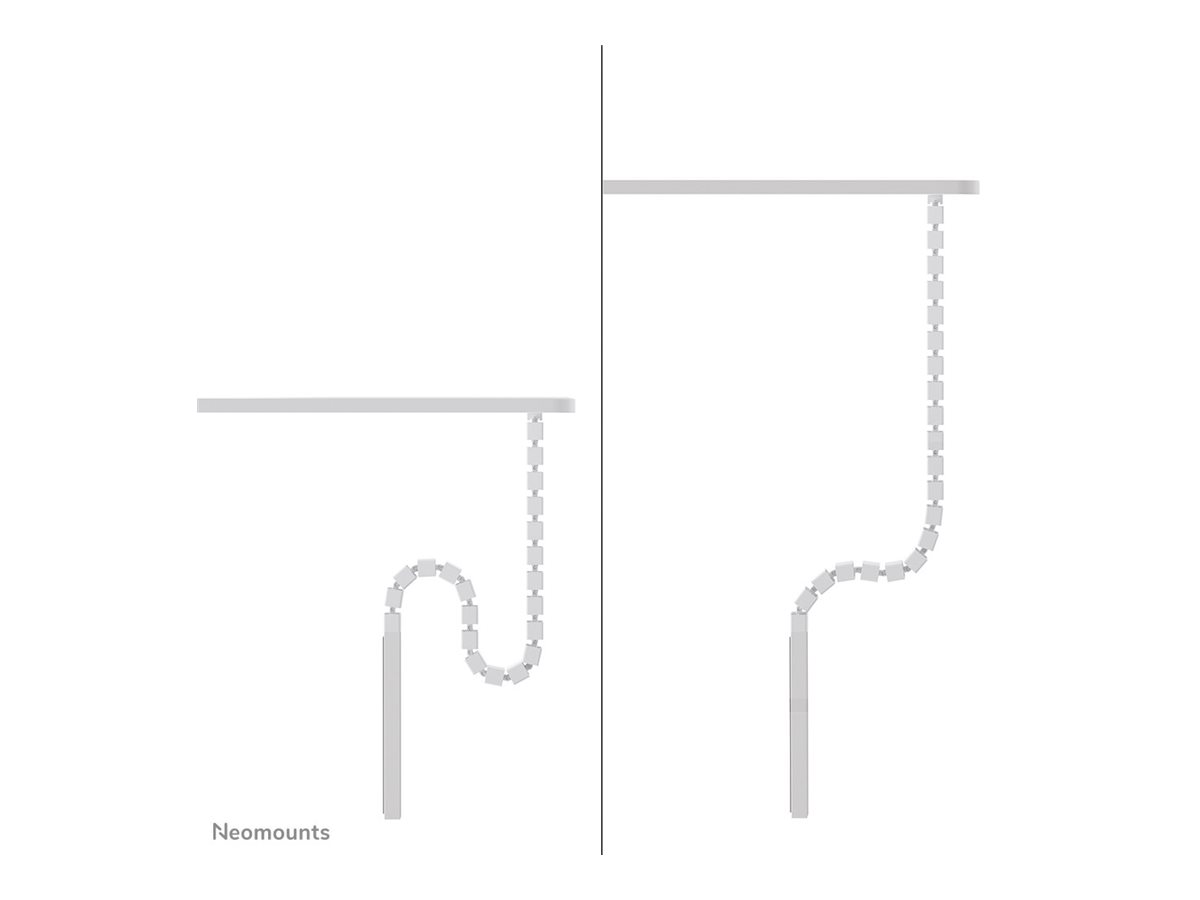 CCS Product Image (Right side/1200 x 900)