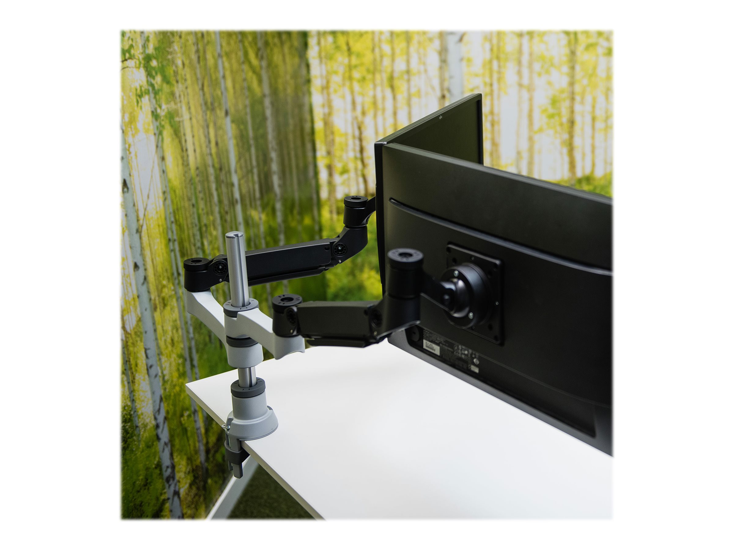 CCS Product Image (Back/2400 x 1800) CCS Product Image (Back/2400 x 1800)