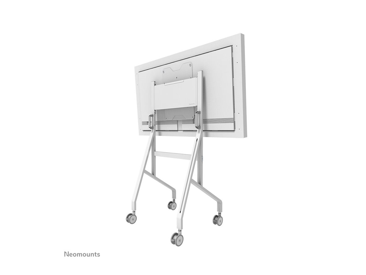CCS Product Image (Back/1200 x 900)