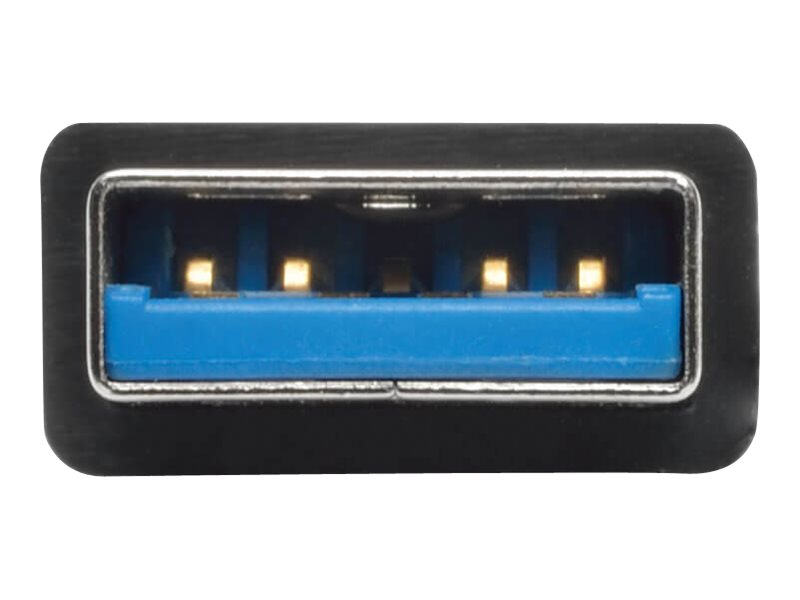 CCS Product Image (Close-up/800 x 600)