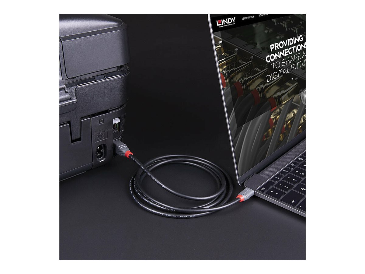 CCS Product Image (Back/1200 x 900)