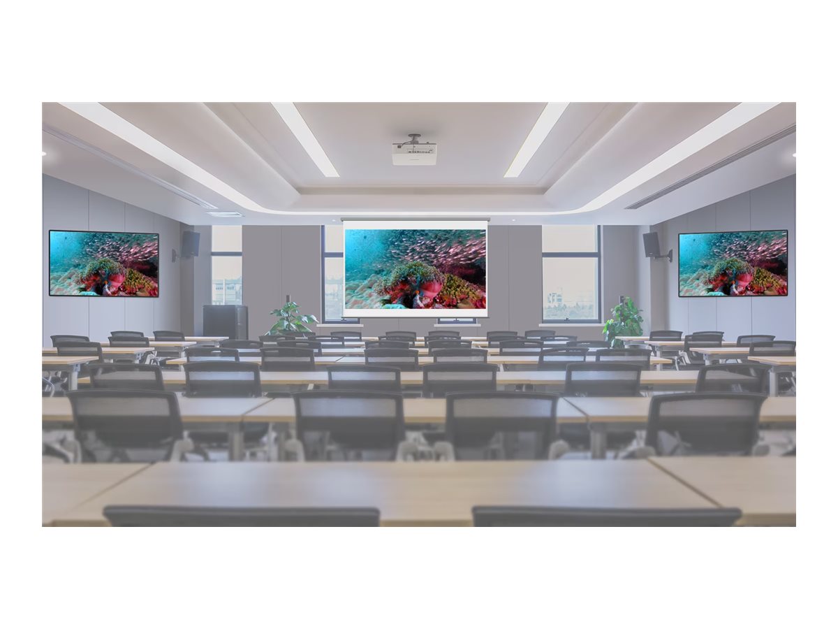CCS Product Image (Back/1200 x 900)