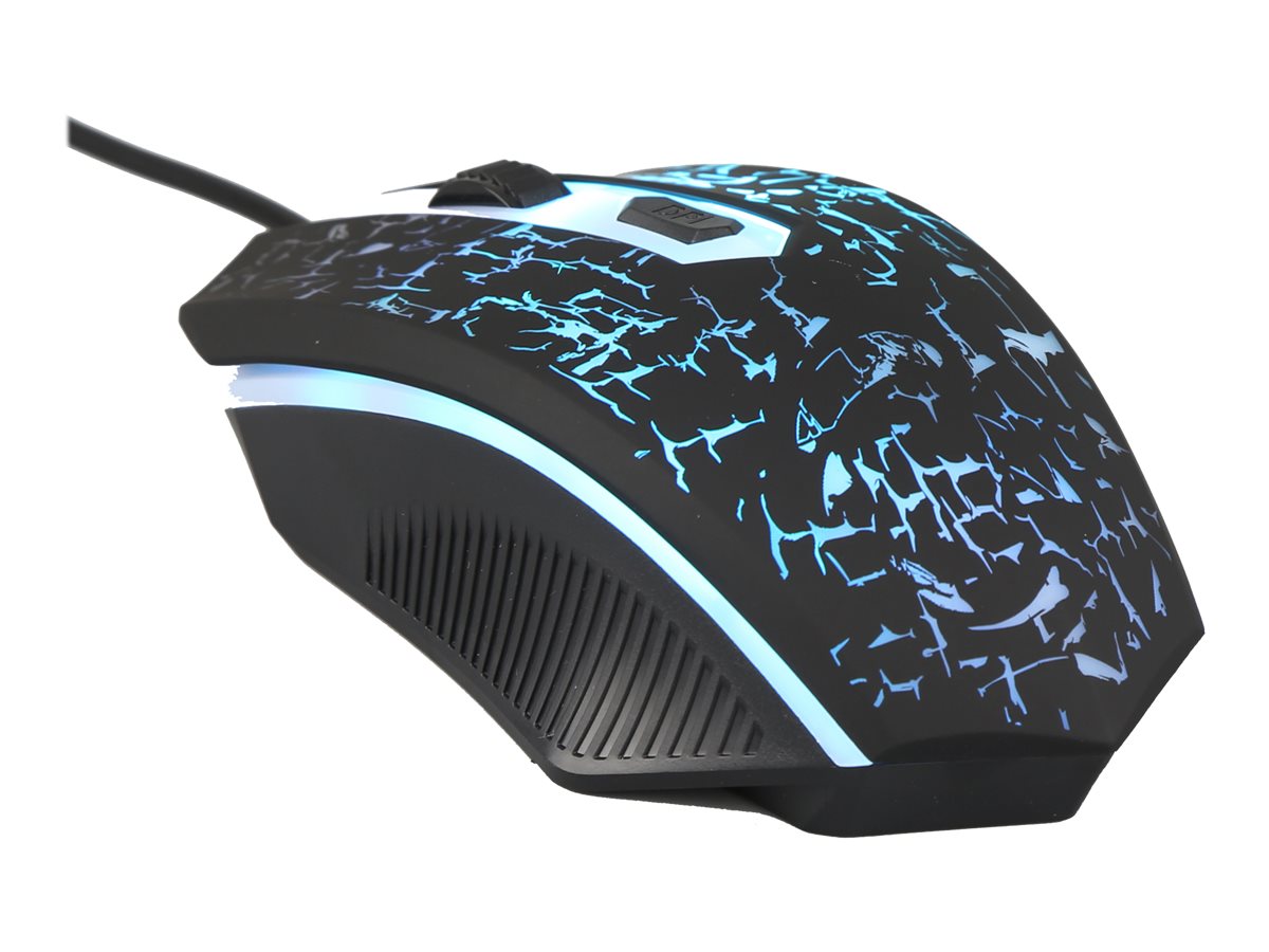 CCS Product Image (Back/1200 x 900)