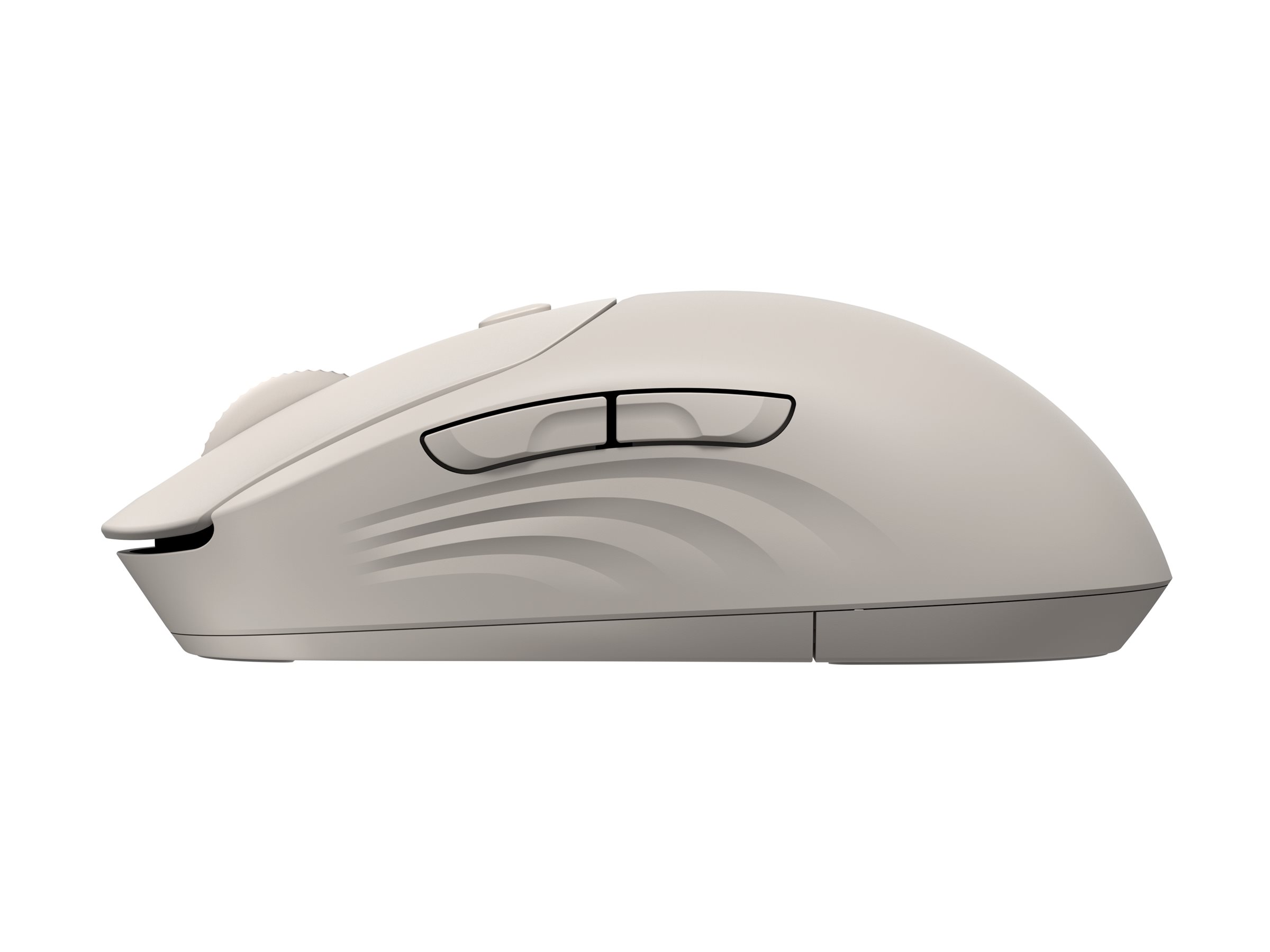 CCS Product Image (Right side/2400 x 1800)