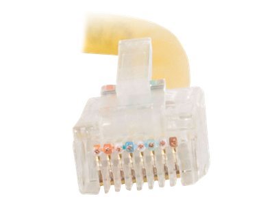 CCS Product Image (Left side/400 x 300)