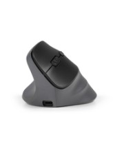 ITS - https://shopmanager.future-x.de/images/products/9/its-22127939.jpg