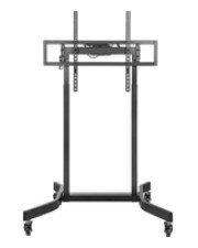 ITS - https://shopmanager.future-x.de/images/products/8/its-18664628.jpg