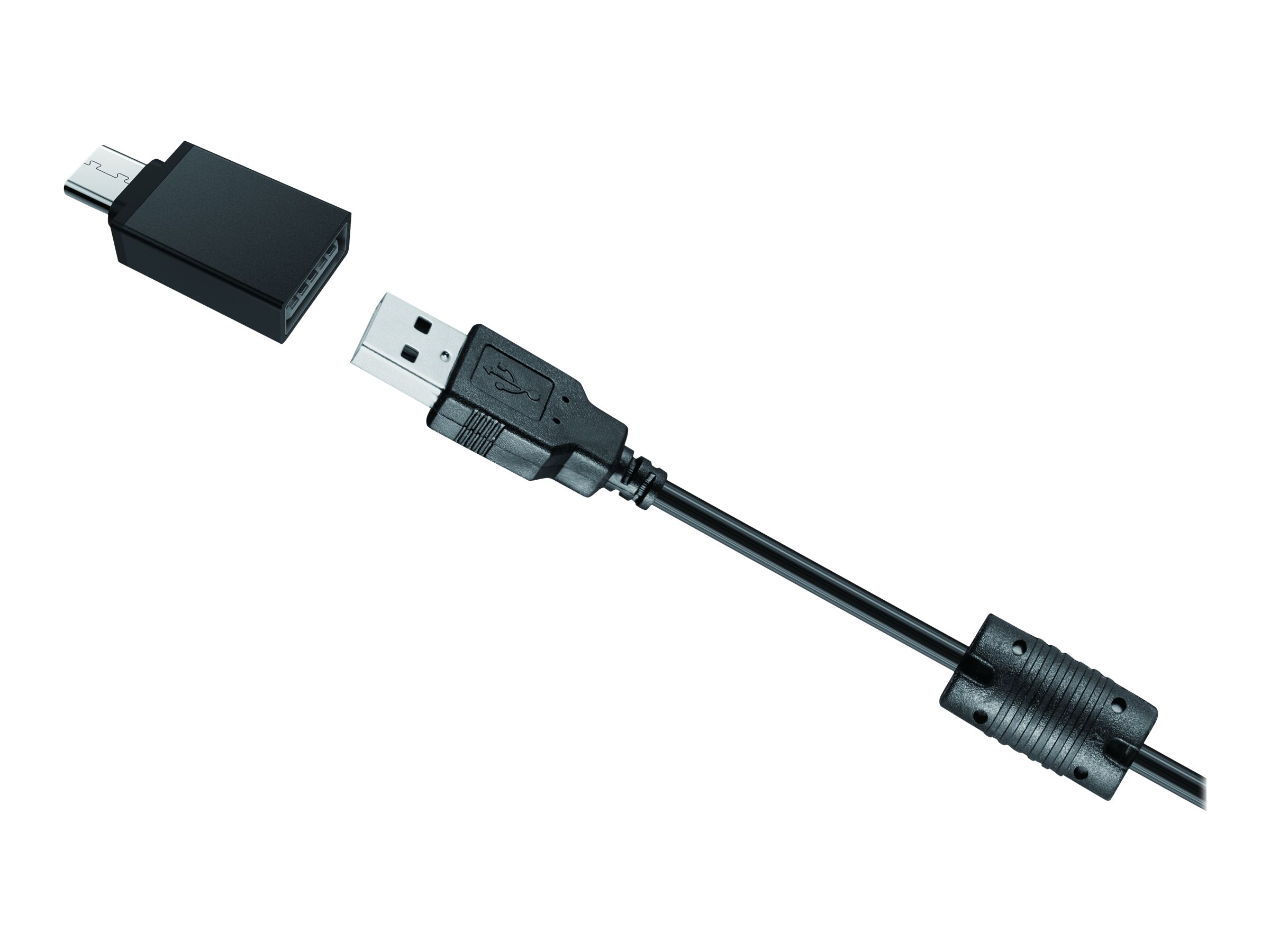 CCS Product Image (Right-angle/2400 x 1800)