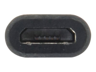 CCS Product Image (Front/400 x 300) CCS Product Image (Front/400 x 300)