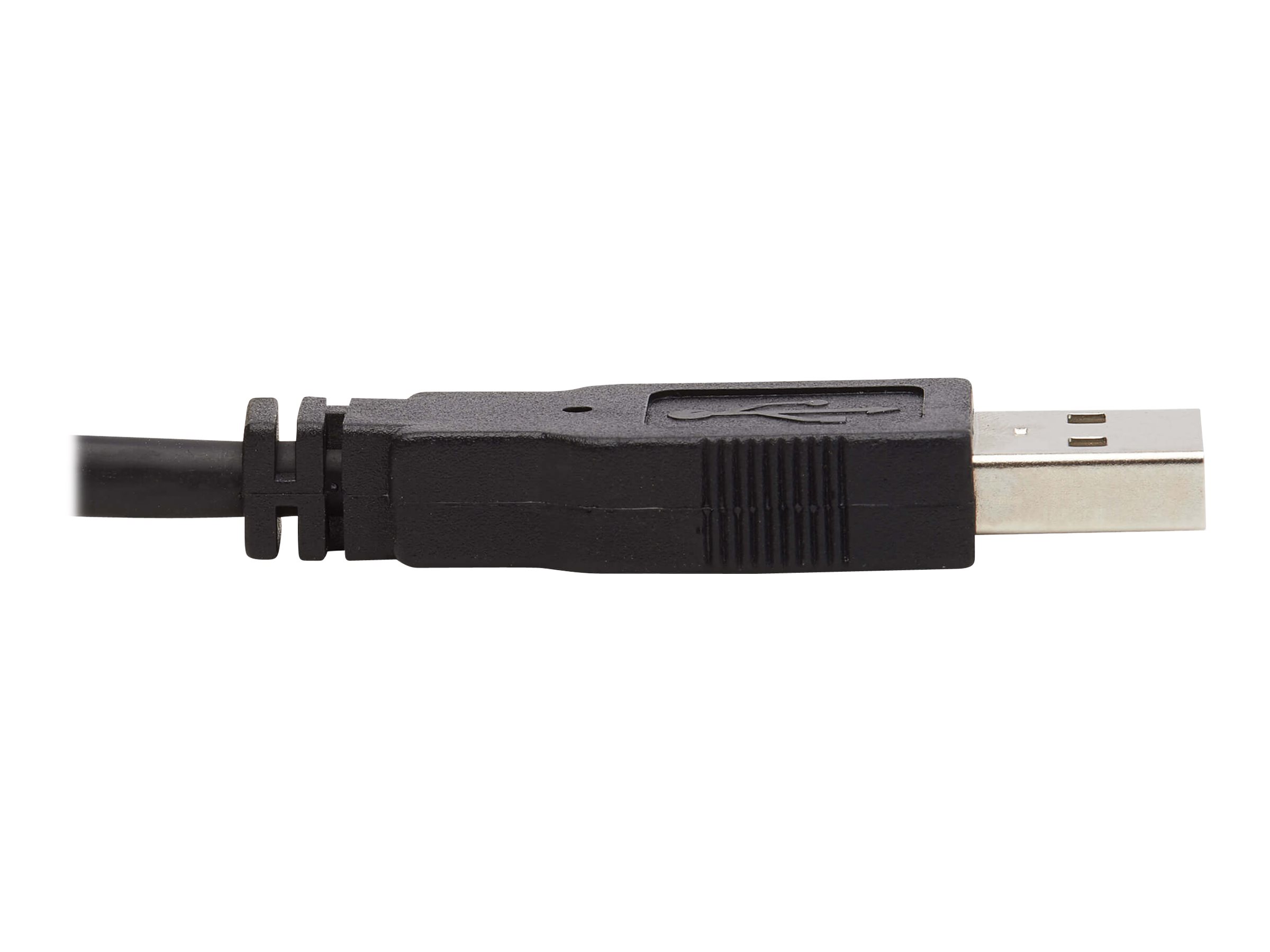 CCS Product Image (Close-up/2400 x 1800)