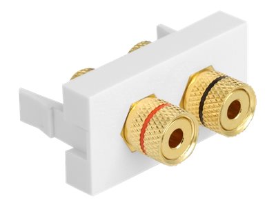 CCS Product Image (Left-angle/400 x 300)