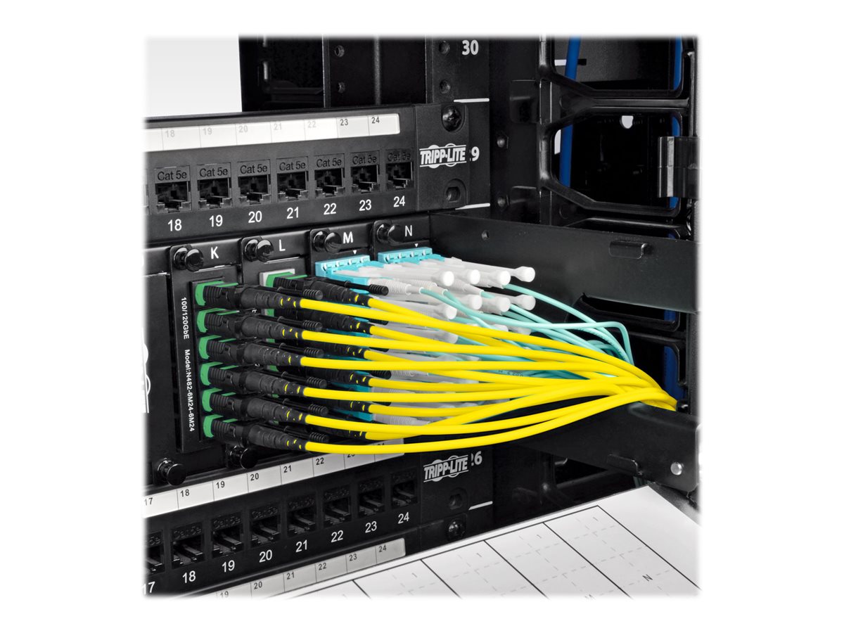 CCS Product Image (Back/1200 x 900)
