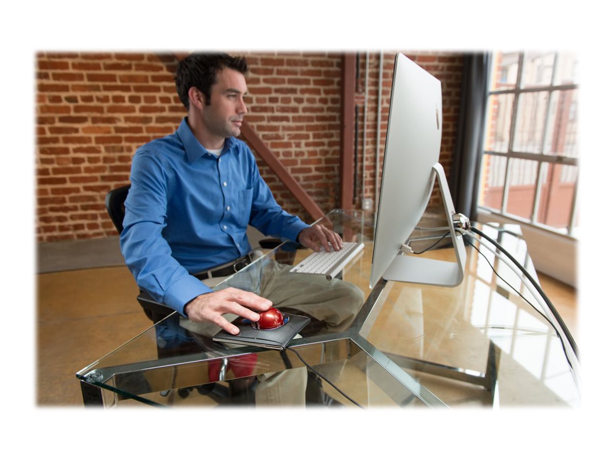 CCS Product Image (Back/1200 x 900) CCS Product Image (Back/1200 x 900)