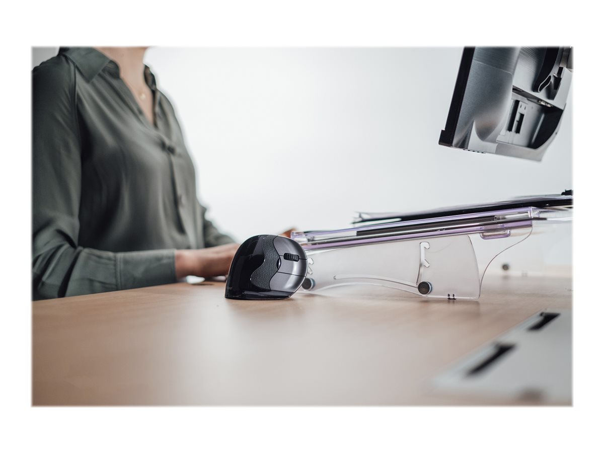 CCS Product Image (Back/1200 x 900)