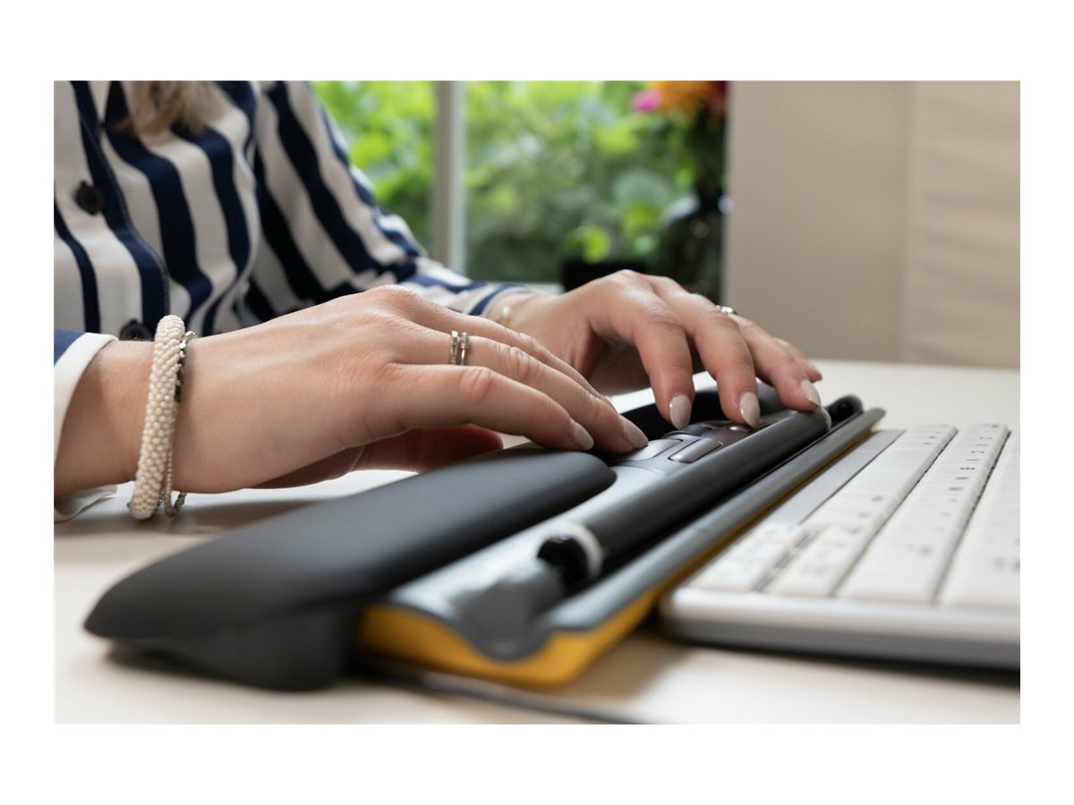 CCS Product Image (Back/1200 x 900)